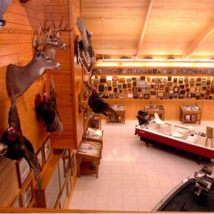 Pair of flat bottom boats in gallery room with pictures on the walls with stuffed deer heads and turkeys hanging above them