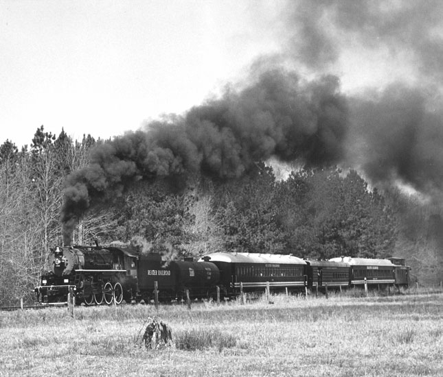 Steam locomotive billowing smoke with trees and field