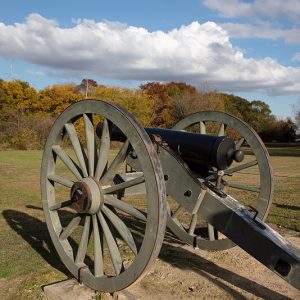Cannon with wooden wheels in field with autumn trees in the background