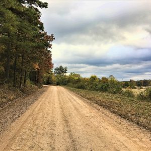 Dirt road with trees on the left and farm on the right
