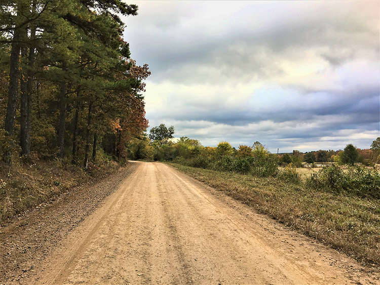 Dirt road with trees on the left and farm on the right