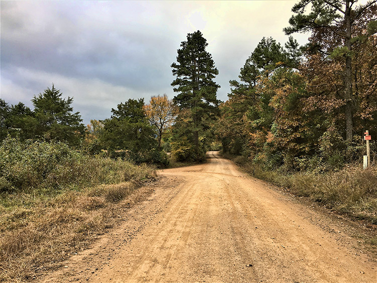 Dirt road with trees on the right and turn off on the left