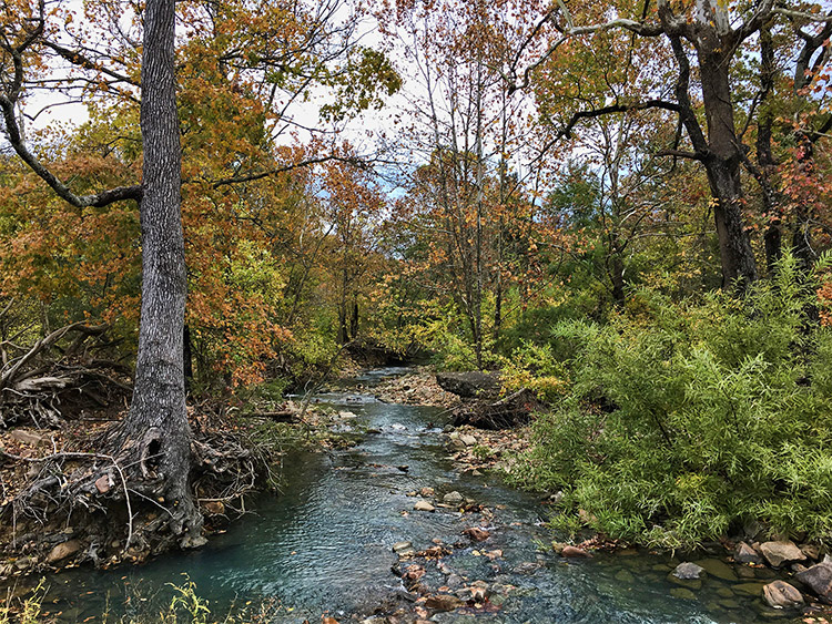 Creek with rippling water and rocks surrounded by autumn trees