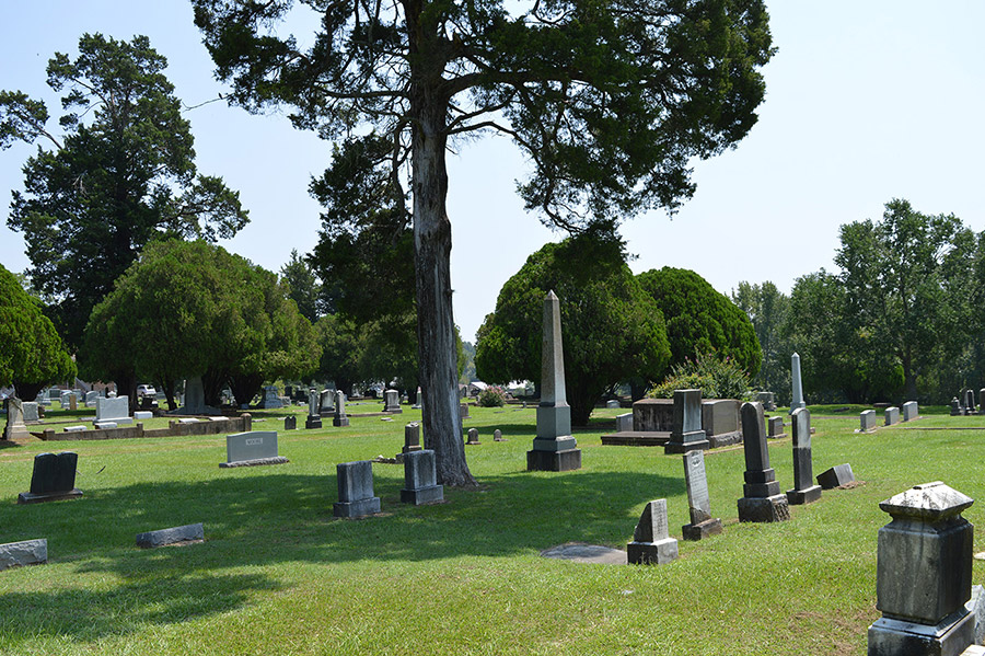 Gravestones and trees in sunny cemetery