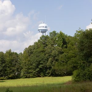 Water tower visible above trees in field