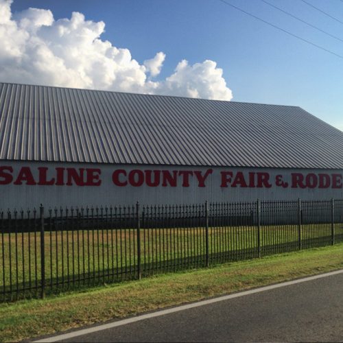 Saline County Arkansas Fair 2024 Registration Denise Tarrah