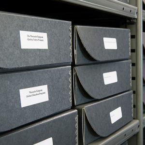 Close-up of archival boxes on metal shelves