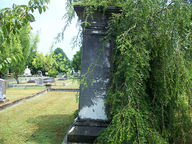 Column shaped gravestone and tree in cemetery