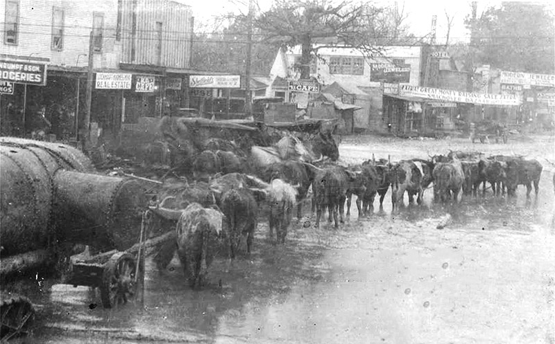 Team of oxen pulling wagon on town street lined with storefronts