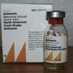 Types of antivenin packaging and bottle with corresponding letters