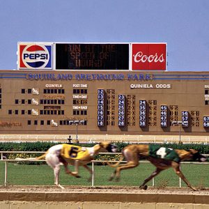Greyhounds running on track past an electronic scoreboard