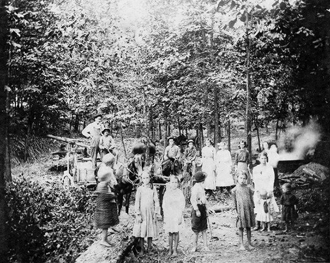 Group of white men women and children with horse drawn wagon in wooded area