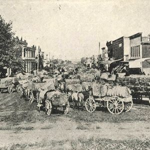 Group of horse drawn wagons loaded with bales on town street
