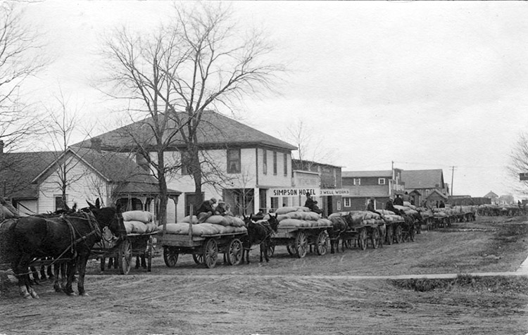 Horse-drawn wagons loaded with rice in line outside multistory buildings and houses on dirt road