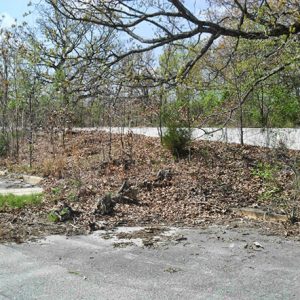 Overgrown parking lot and foundations in forested area