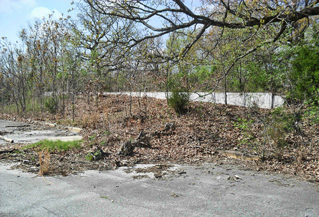 Overgrown parking lot and foundations in forested area