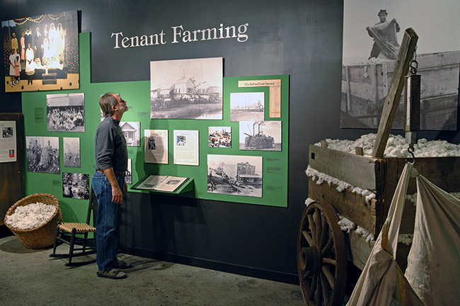 White man looking at "Tenant Farming" exhibit with panels and photographs on a wall