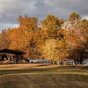 Picnic tables under pavilion and wooden fence under autumn trees on lake shore
