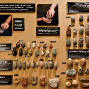 Display case with stone tools and interpretation panels for each group
