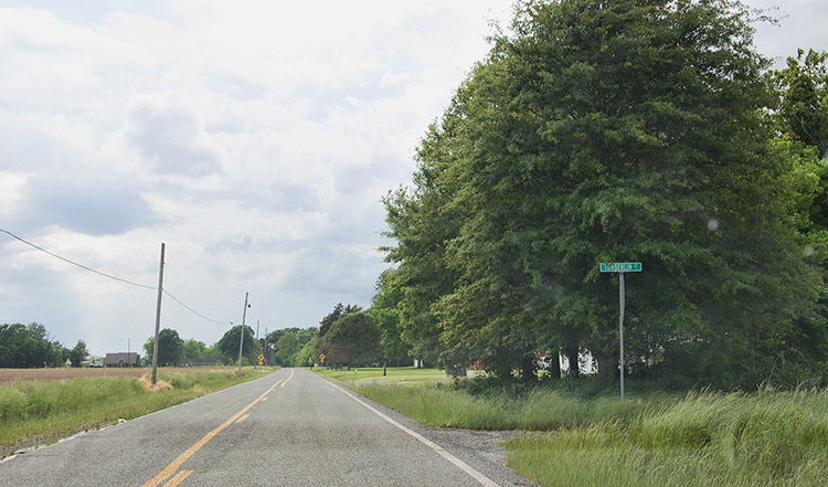 Two-lane road with trees on the right and brick building in the background