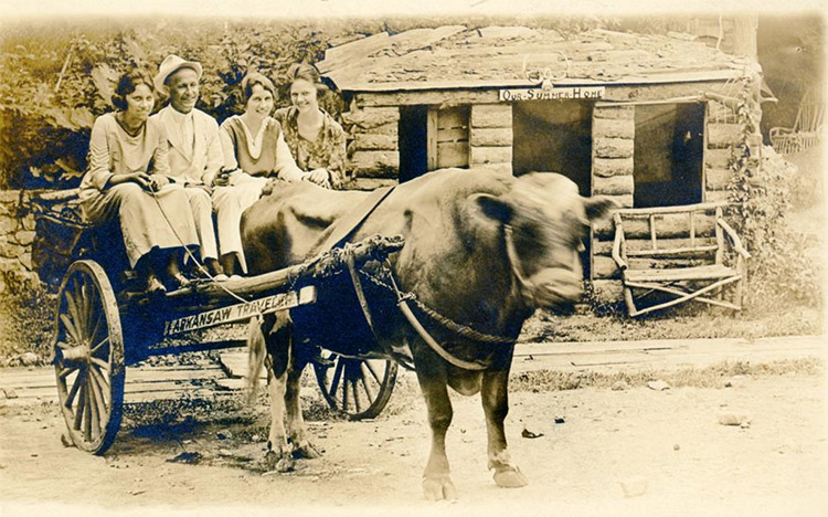 White man in suit and hat with three white women smiling on cart pulled by cow outside log cabin