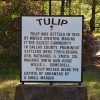"Tulip" sign on stone pedestal