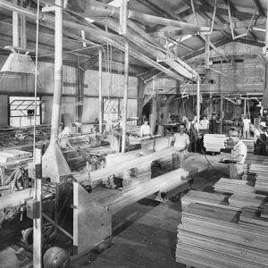White men working in wood factory warehouse