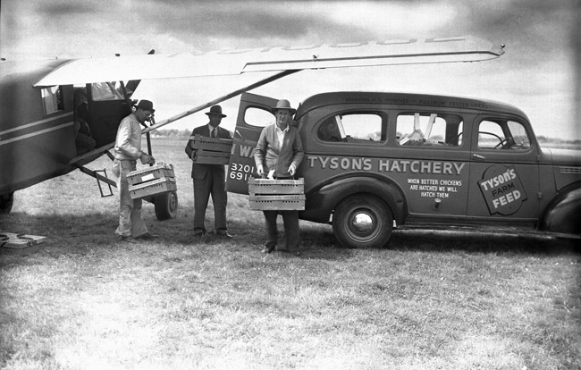 Three white men transferring crates from an airplane to a car that says "Tyson's Hatchery" on the side