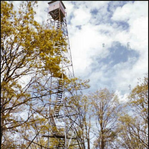 Lookout Ar Forest Fire Lookouts - Encyclopedia of Arkansas