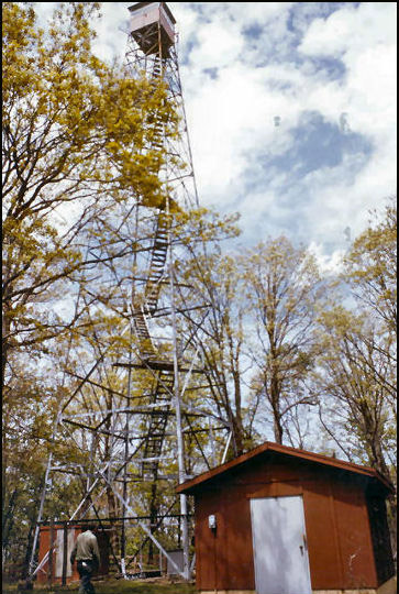 Looking up at fire tower in wooded area with single-story building under it