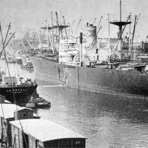 Ships at port with buildings and tugboat in the foreground