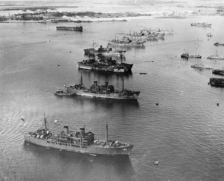 Row of Naval vessels in bay with shore in the background