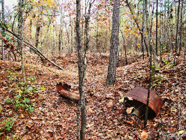 Forest with leaves and autumn foliage with rusted metal remnants on the ground