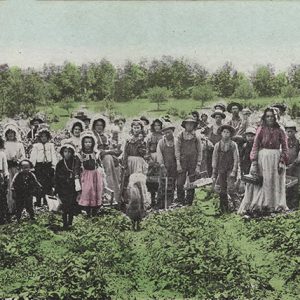 Group of white men women and children in strawberry field