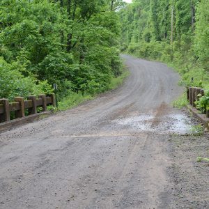Gravel road over concrete bridge with trees on both sides