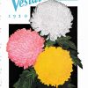 Catalog with flowers on cover