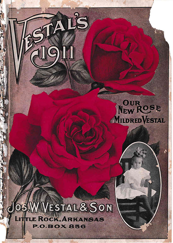 Catalog with roses and girl in dress on cover