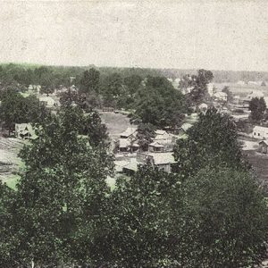 View of town buildings and residential neighborhood with trees in the foreground