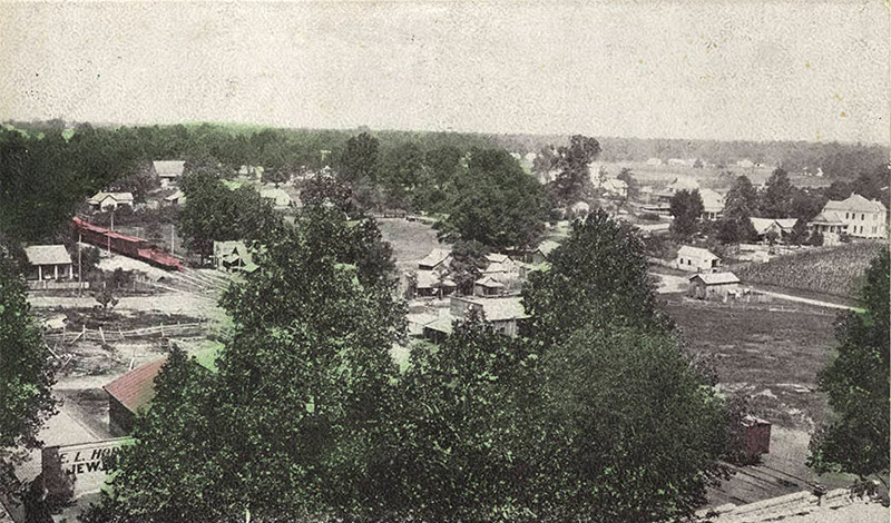 View of town buildings and residential neighborhood with trees in the foreground