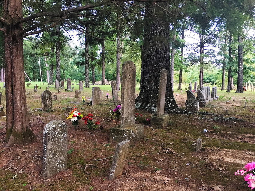 Weathered gravestones in cemetery with flowers in foreground and trees