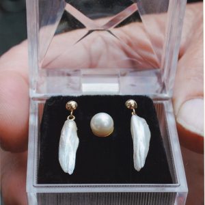 Pearl and pearl earrings in small transparent display case