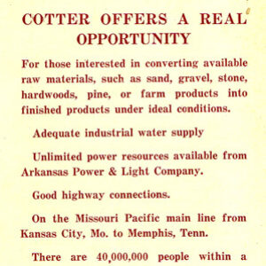 "Cotter offers a real opportunity" advertisement with red text