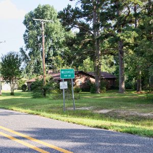 "Willisville" sign on residential street with single-story houses in the background