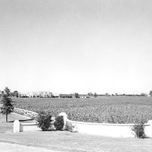 Cotton field with brick wall and large house in the background