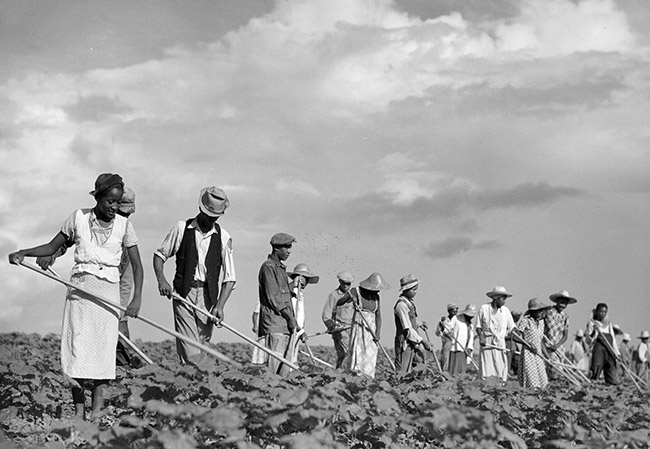 African-American workers with implements working in field