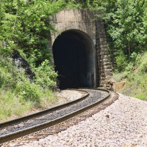 Train tunnel with arched entrance and tracks surrounded by foliage
