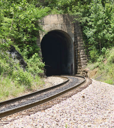 Train tunnel with arched entrance and tracks surrounded by foliage