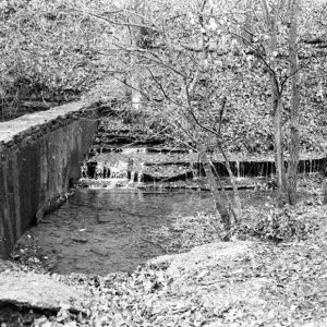 Concrete dam wall on stream with trees and leaves on the ground