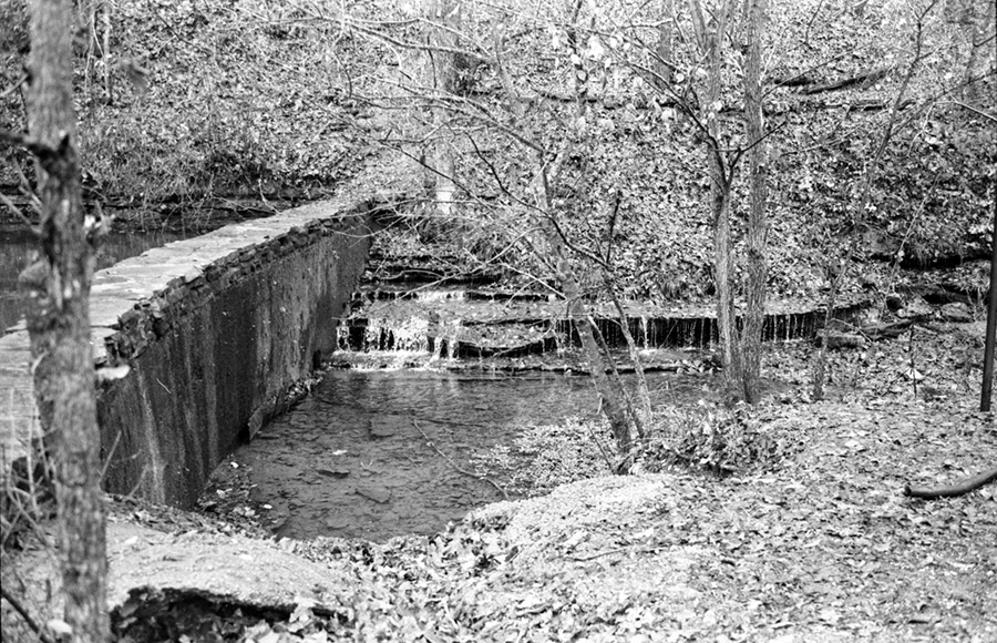 Concrete dam wall on stream with trees and leaves on the ground