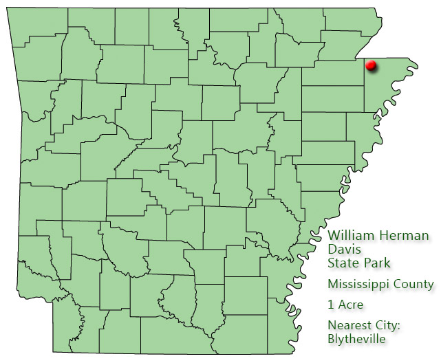 Map of Arkansas with red dot in Mississippi County and explanation in green text